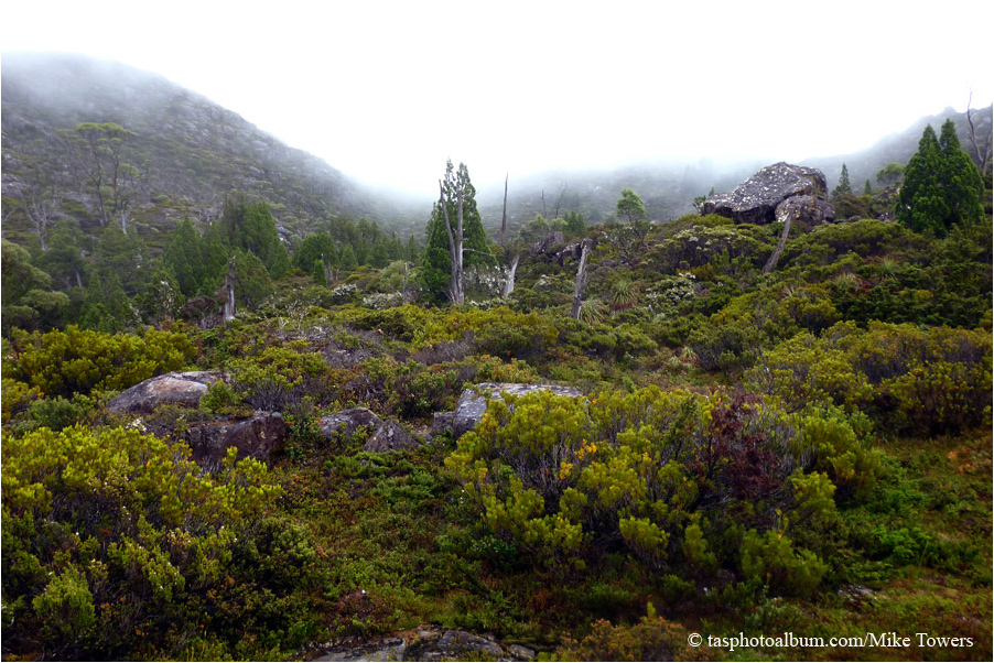 Cathedral Plateau